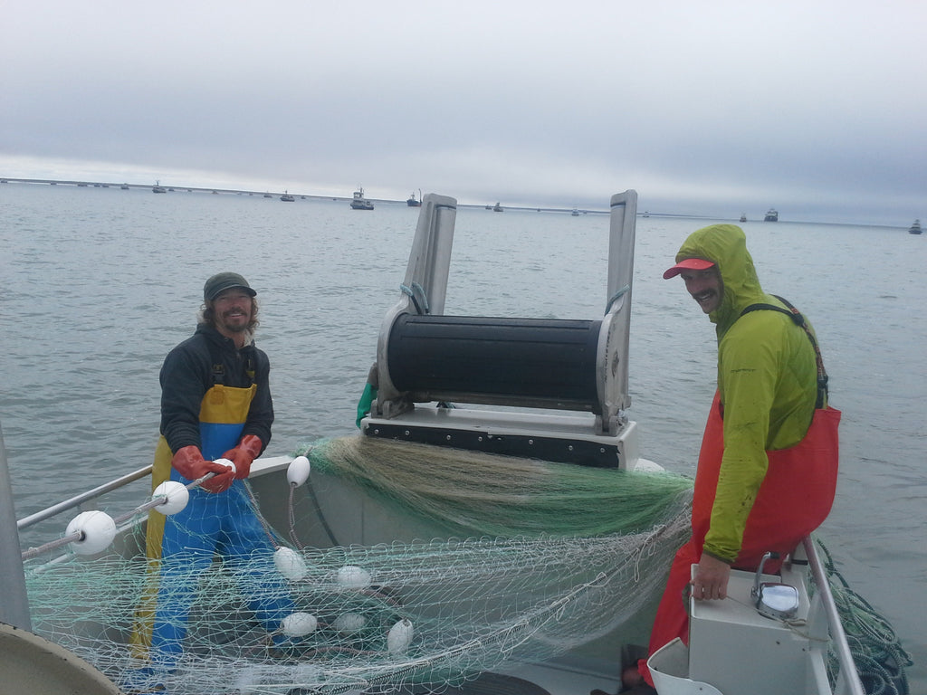 Great Season in 2016