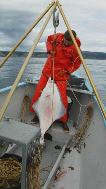 Homer Halibut